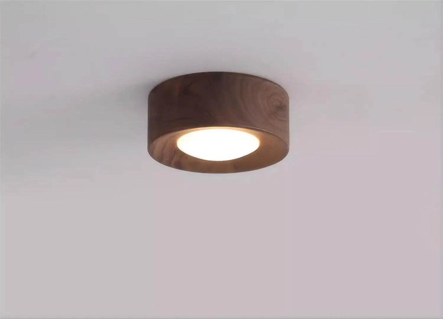 Walnut brass adjustable downlight for corridor