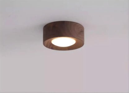 Walnut brass adjustable downlight for corridor