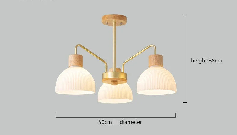Nordic wooden ceiling chandelier for living room