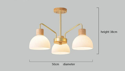 Nordic wooden ceiling chandelier for living room