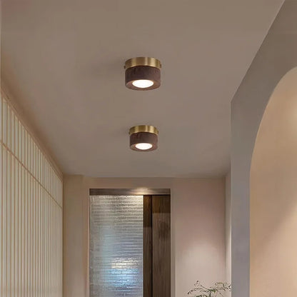 Walnut brass adjustable downlight for corridor
