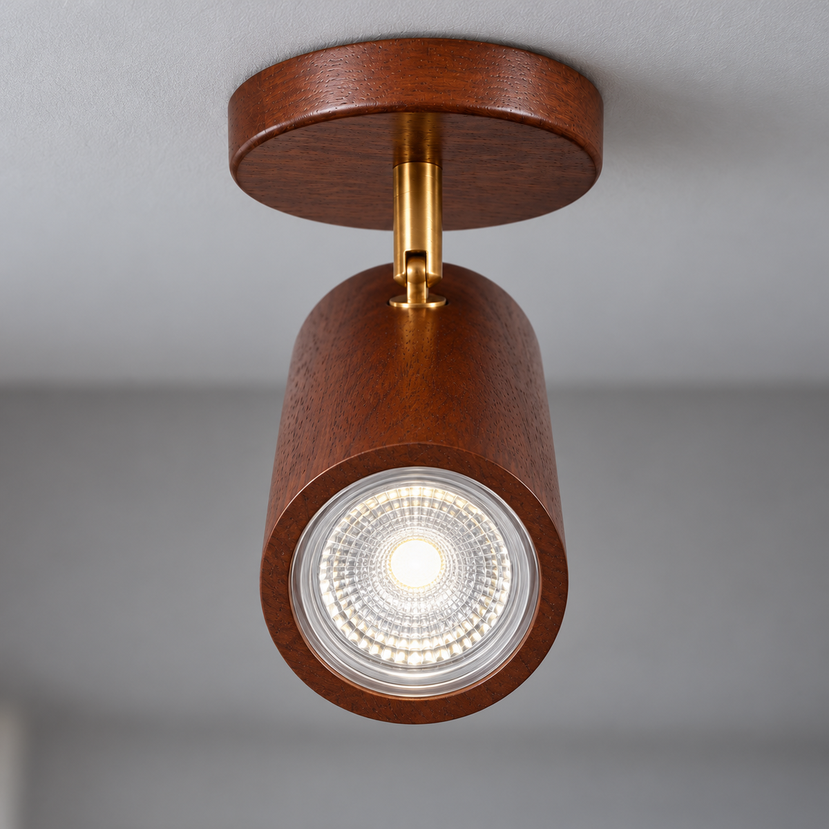 Walnut rubberwood single ceiling spotlight illuminated, frontal optical lens and brass pivot detail