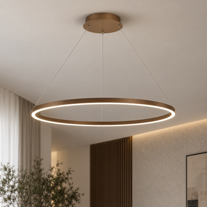 Minimalist Ring Ceiling Light