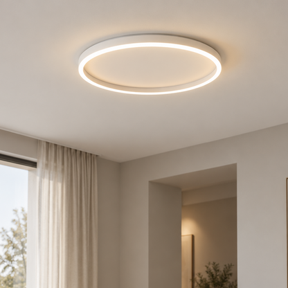 Round Shape Modern Ceiling Light LED