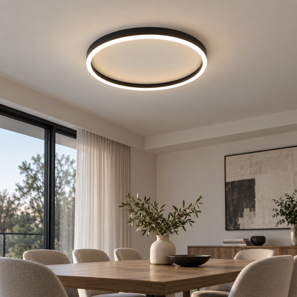Round Shape Modern Ceiling Light LED