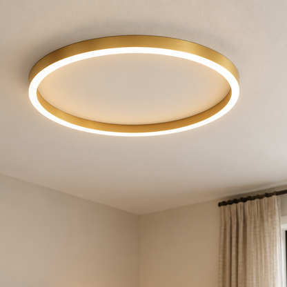 Round Shape Modern Ceiling Light LED