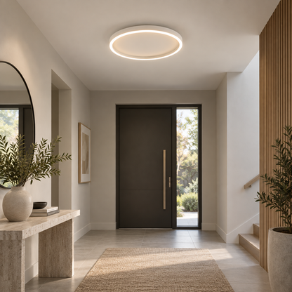 Round Shape Modern Ceiling Light LED