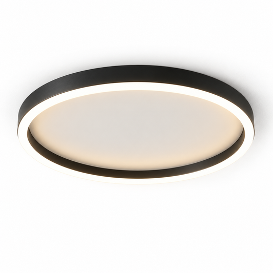 Round Shape Modern Ceiling Light LED