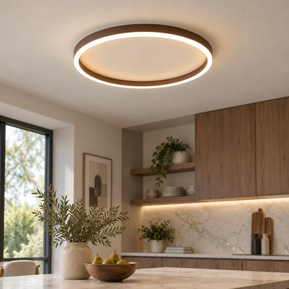 Round Shape Modern Ceiling Light LED