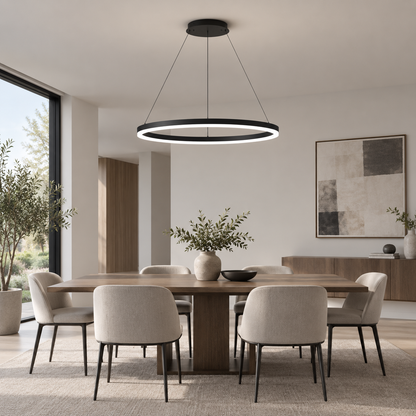 Minimalist Ring Ceiling Light