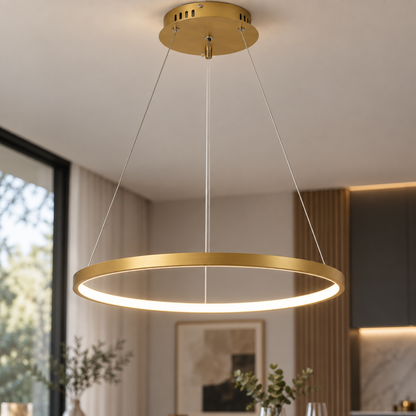 Celling Fixtures Rings Shape Pendant Light