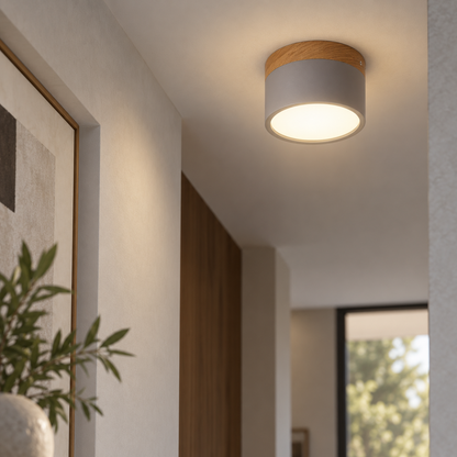 Led Nordic Modern Ceiling Spotlight